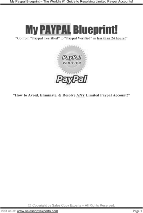 Product picture Paypal Guide